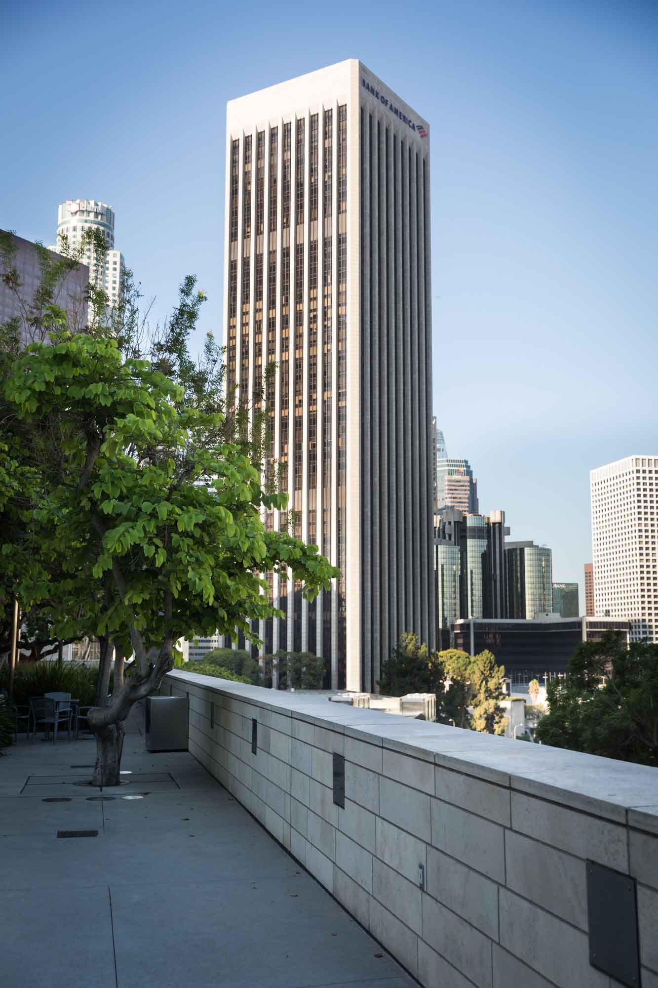 Stone brick wall in Blue Ribbon Garden and tree with skyscrapers of downtown Los Angeles in the background for an article on Walt Disney Concert Hall photos