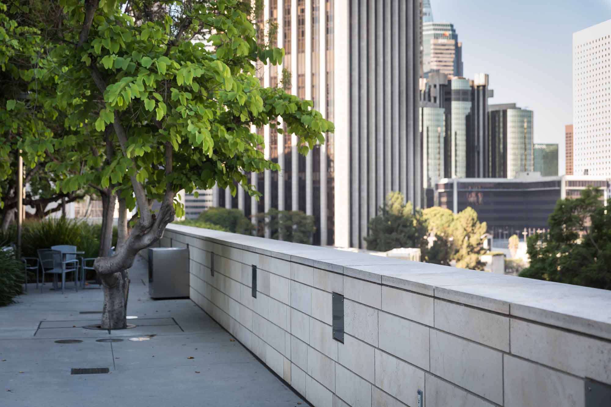 Stone brick wall in Blue Ribbon Garden and tree with skyscrapers of downtown Los Angeles in the background for an article on Walt Disney Concert Hall photos
