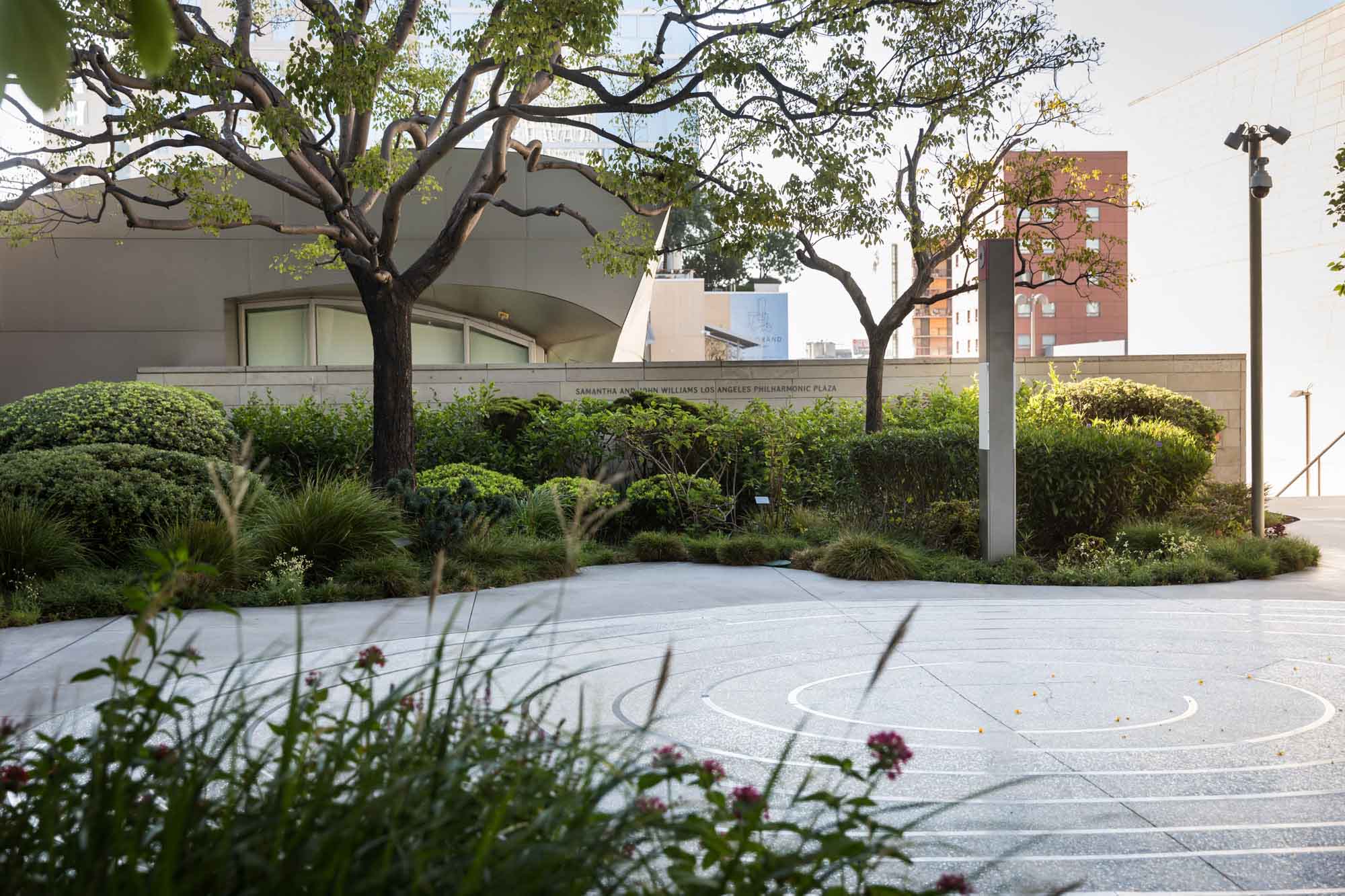 Circular motif on ground with garden and trees in background on roof of Blue Ribbon Garden for an article on Walt Disney Concert Hall photos