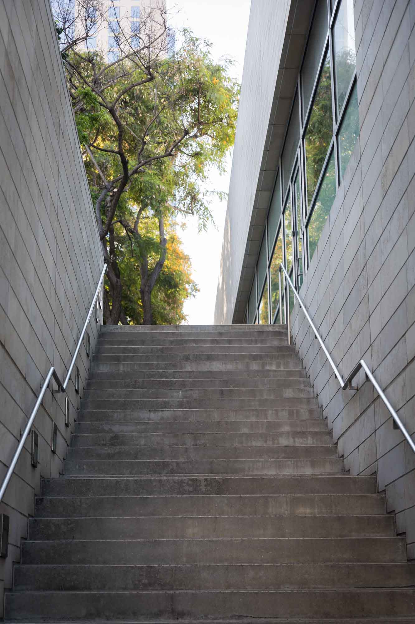 Concrete stairs with metal railings and brick walls leading to trees Circular motif on ground with garden and trees in background on roof of Blue Ribbon Garden for an article on Walt Disney Concert Hall photos