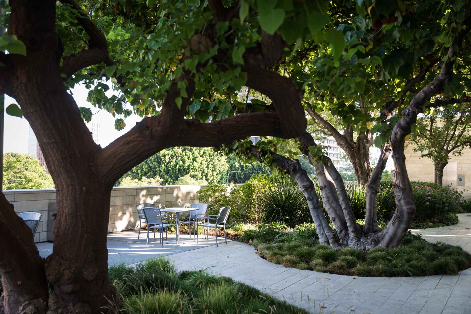 White brick pathway leading to silver table with four chairs in between two large trees in Blue Ribbon Garden for an article on Walt Disney Concert Hall photos