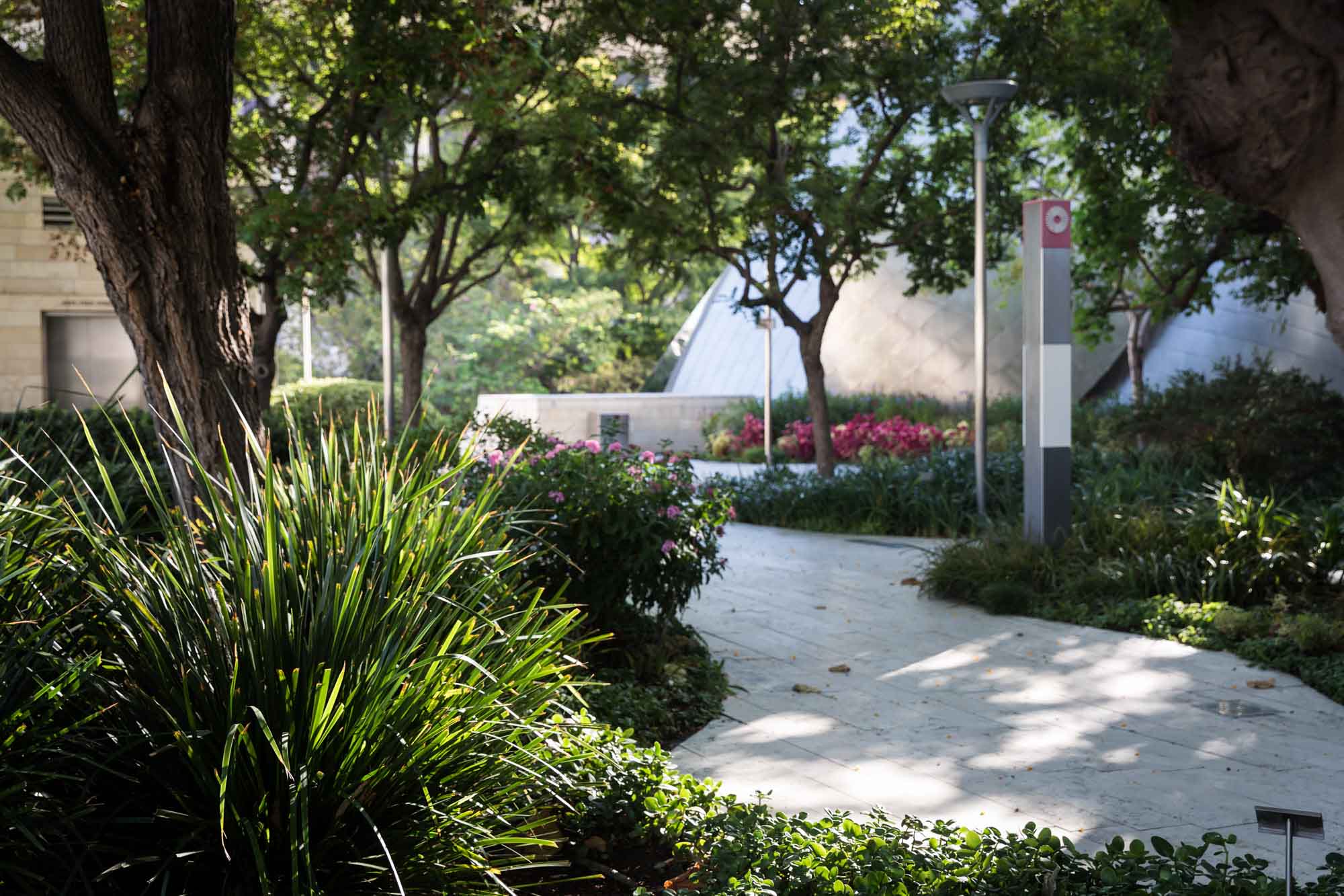 White brick pathway in Blue Ribbon Garden leading to pink flowers with trees in background for an article on Walt Disney Concert Hall photos