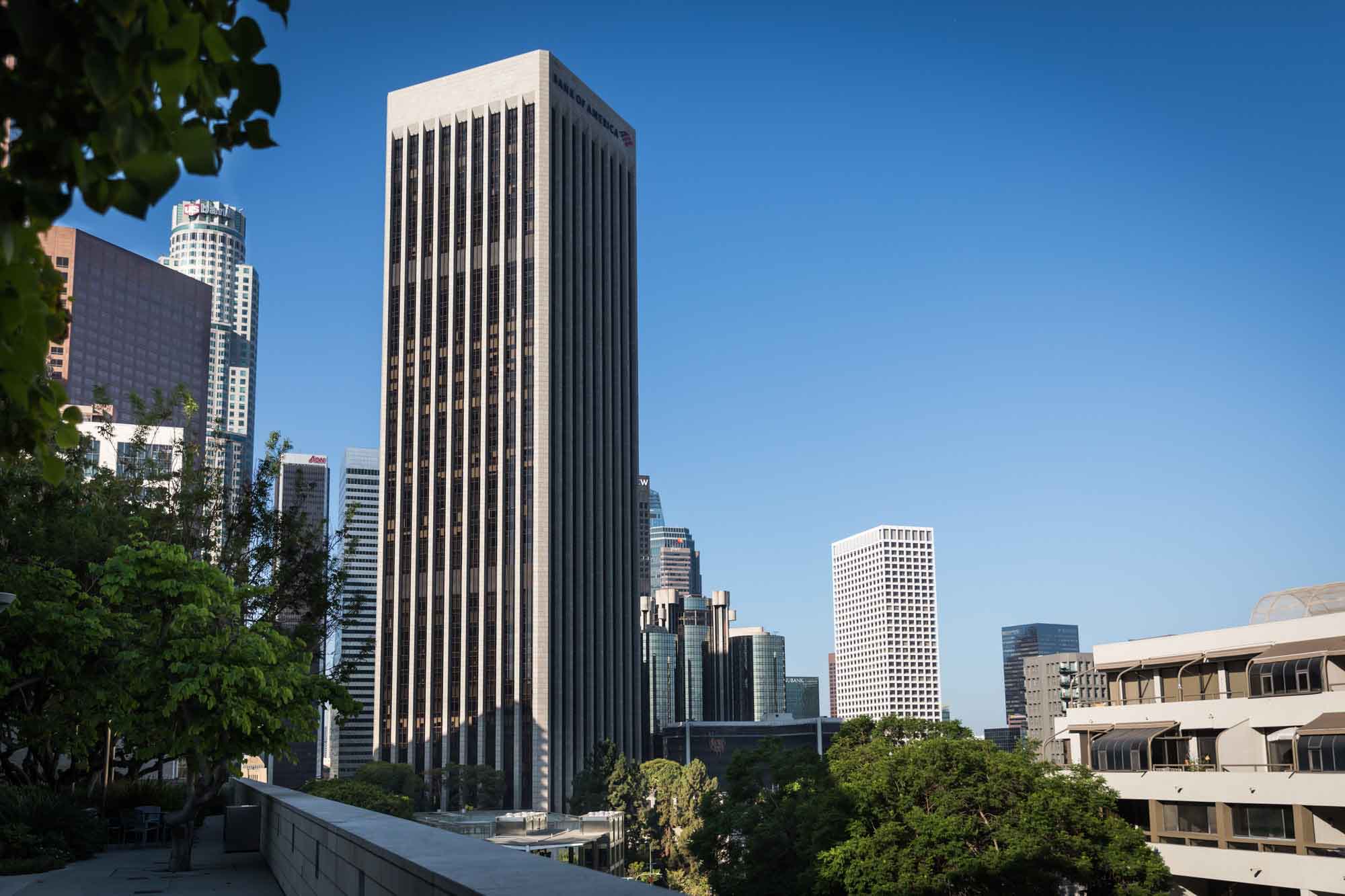 View from Blue Ribbon Garden roof of skyscrapers over downtown Los Angeles for an article on Walt Disney Concert Hall photos