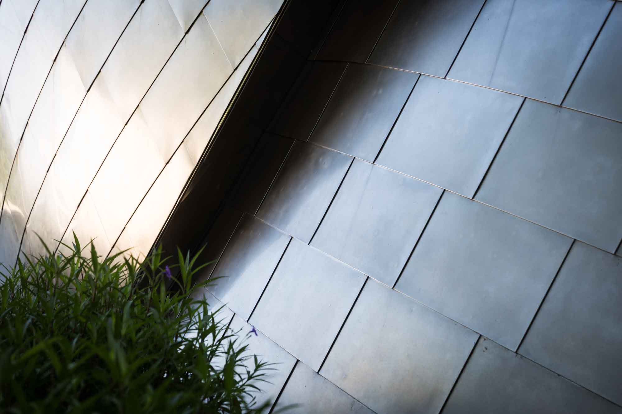 Silver walls in Blue Ribbon Garden for an article on Walt Disney Concert Hall photos