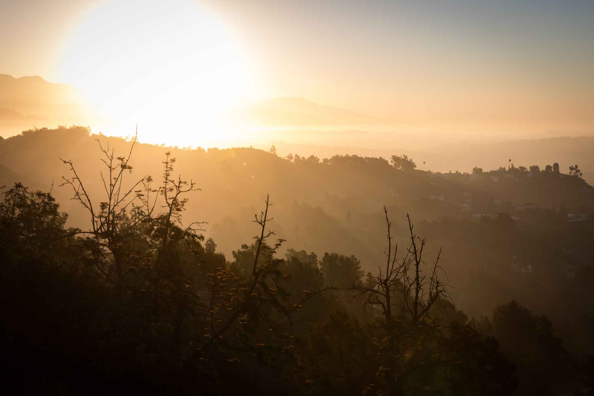 Griffith Park and Los Angeles skyline at sunrise for an article on where to propose at the Griffith Observatory