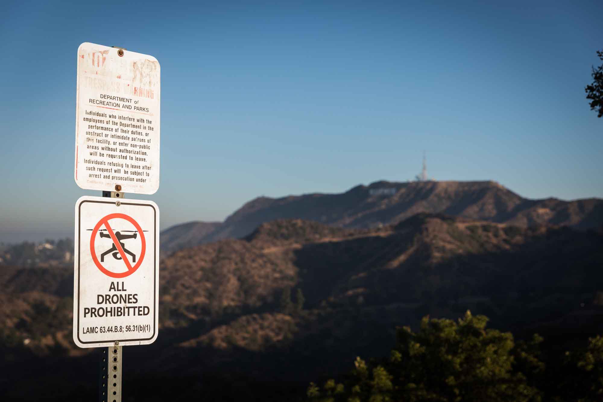 Sign indicating all drones prohibited with Hollywood Sign in the background for an article on where to propose at the Griffith Observatory