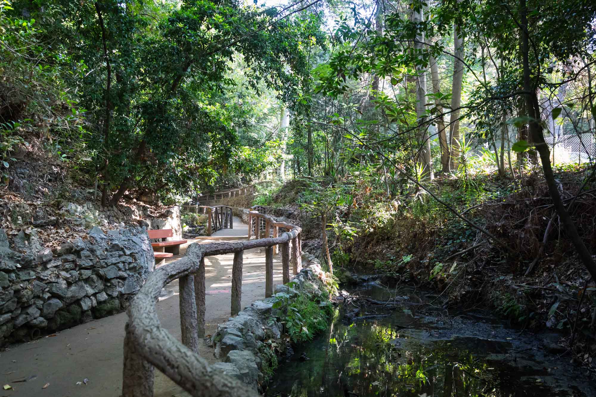 Pathway leading past a creek with wooden railing in Ferndell Trail for an article on where to propose at the Griffith Observatory