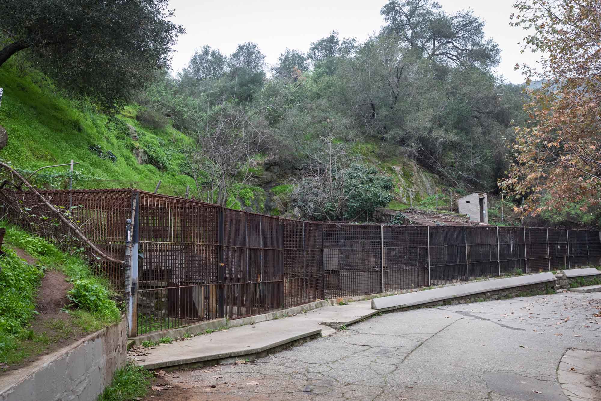 Rusted animal cages in Old Los Angeles Zoo in Griffith Park for an article on where to propose at the Griffith Observatory