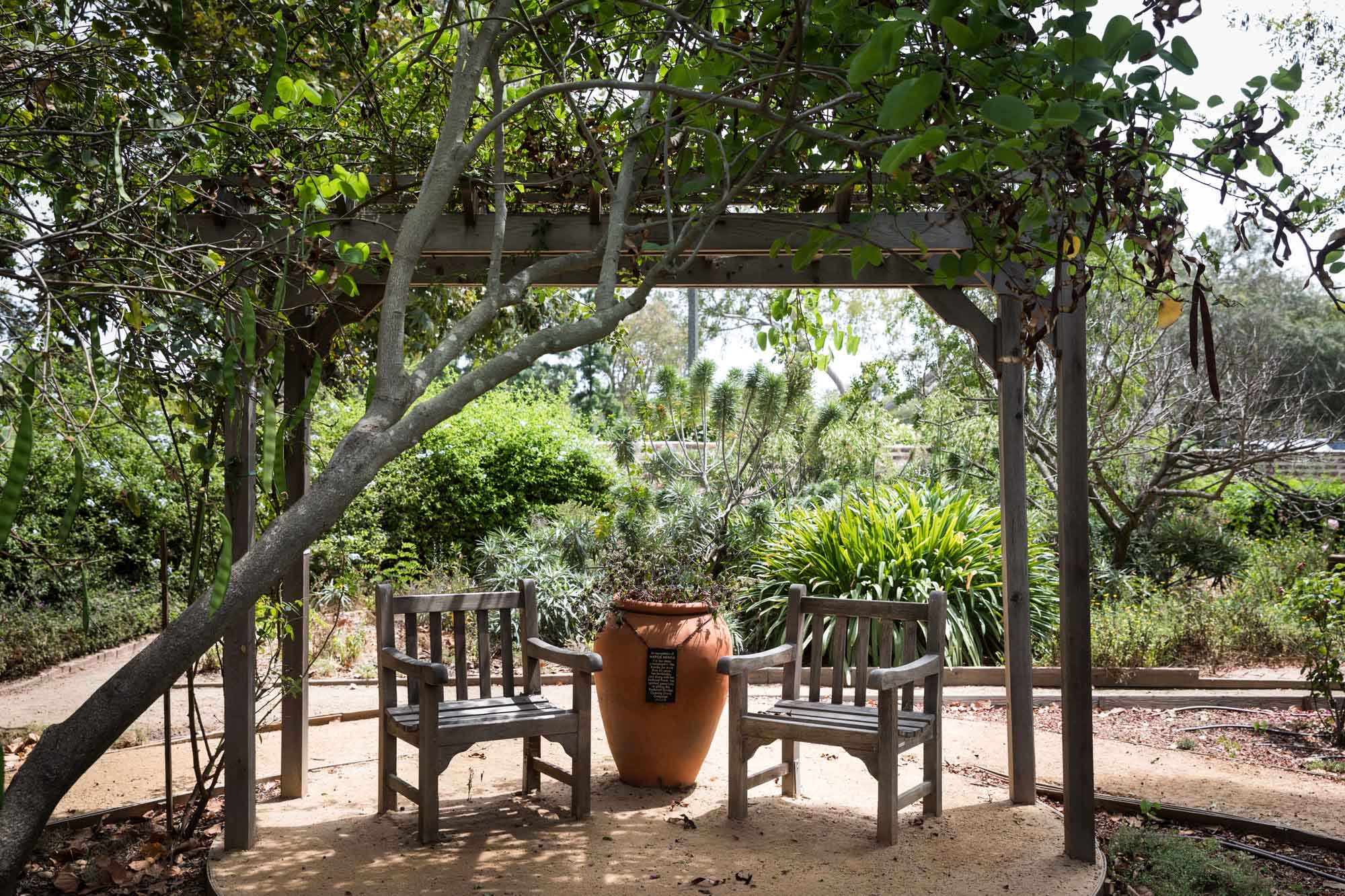 Two wooden chairs beside a terra cotta urn underneath a wooden trellis in the native garden of Rancho Los Cerritos for an article on where to propose in Long Beach