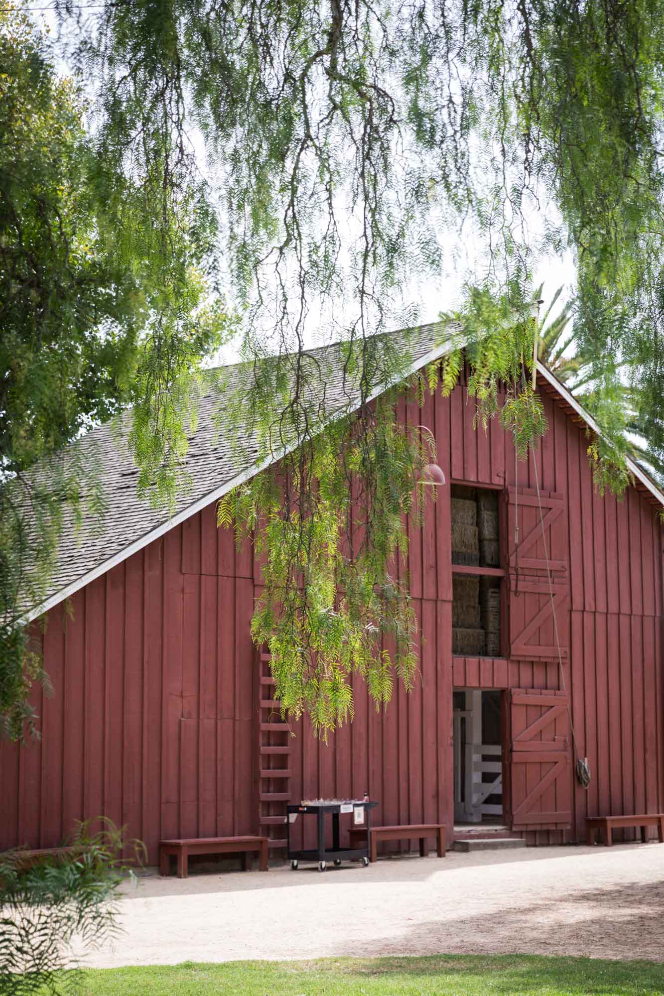 A large red barn viewed underneath tree branches at Rancho Los Alamitos for an article on where to propose in Long Beach
