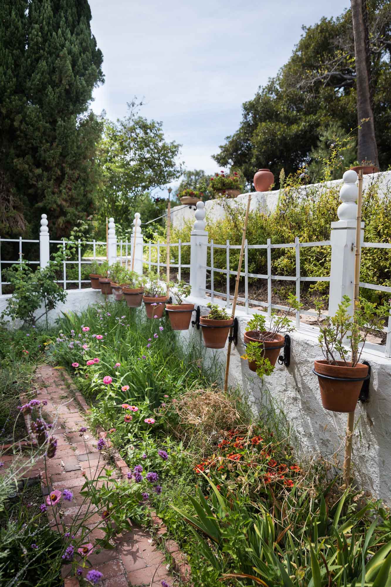 The overgrown cutting garden with terra cotta pots affixed to a white wall at Rancho Los Alamitos for an article on where to propose in Long Beach