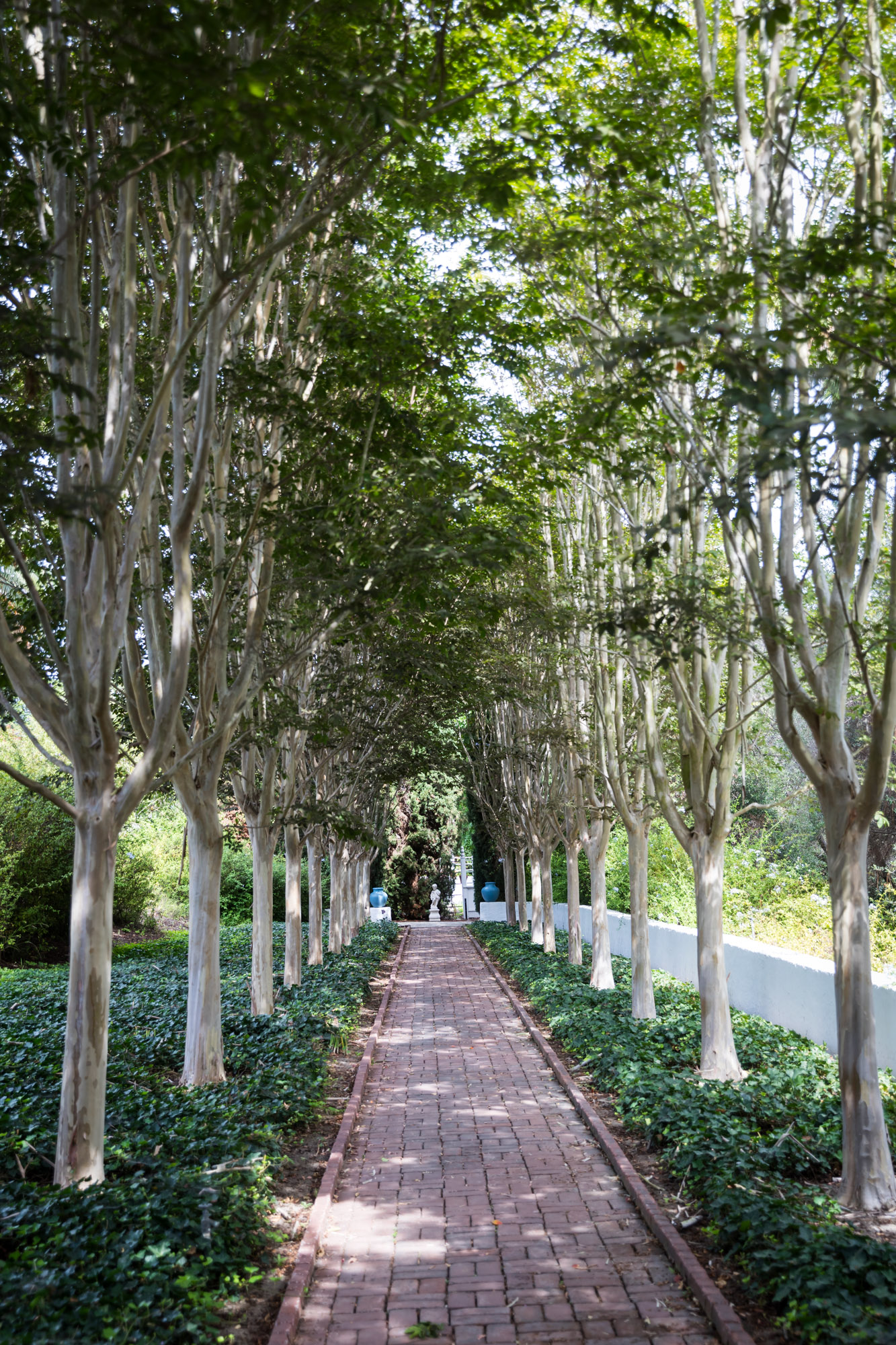 The crepe myrtle brick pathway at Rancho Los Alamitos for an article on where to propose in Long Beach