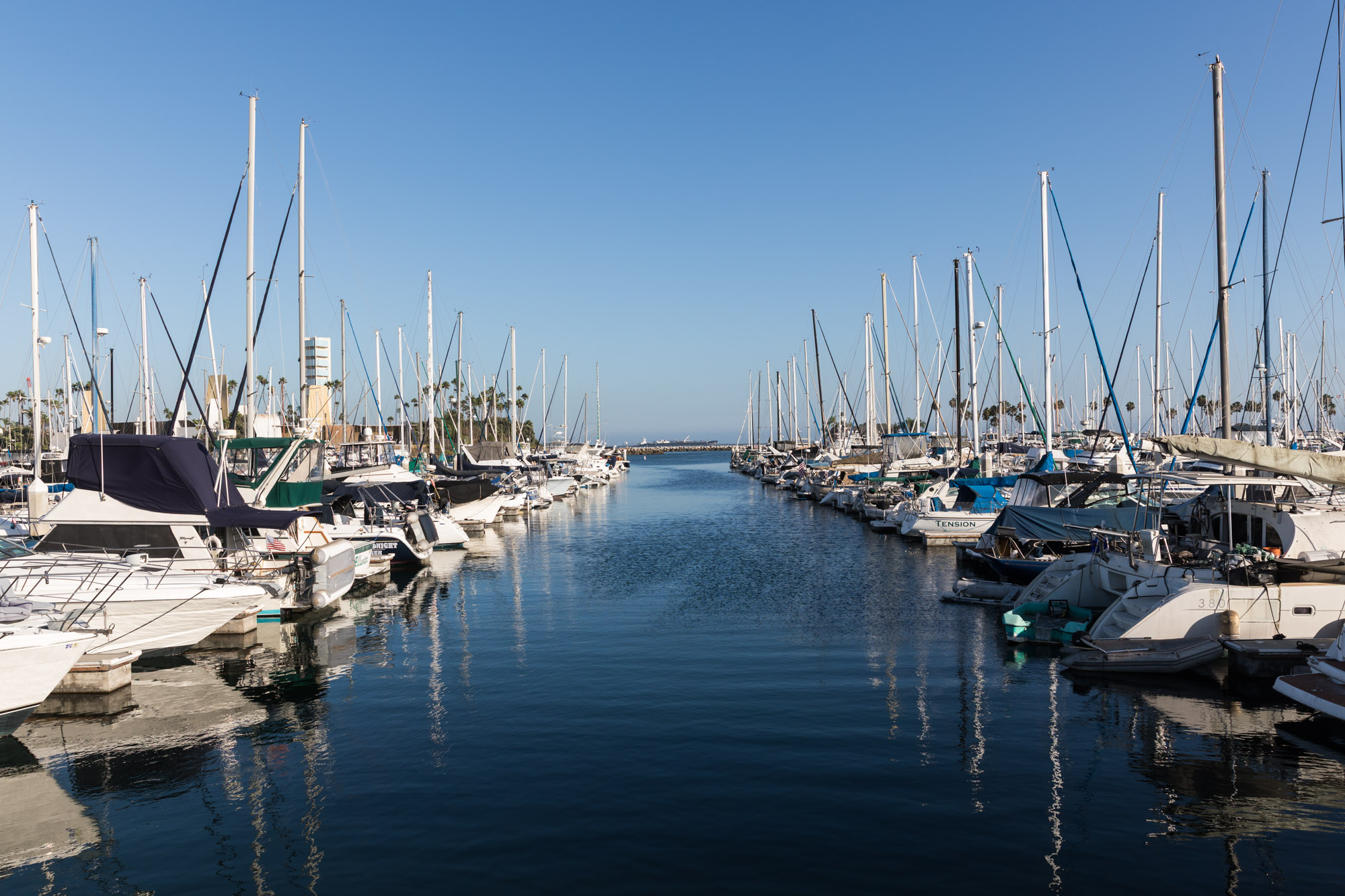 Boats docked in Shoreline Marina for an article on where to propose in Long Beach
