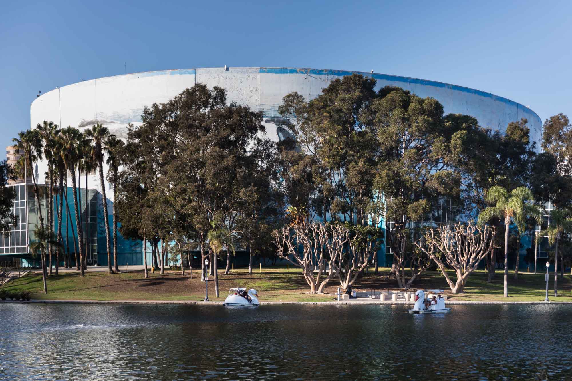 Two swan boats in Rainbow Lagoon Park in front of the Long Beach Convention Center and trees for an article on where to propose in Long Beach