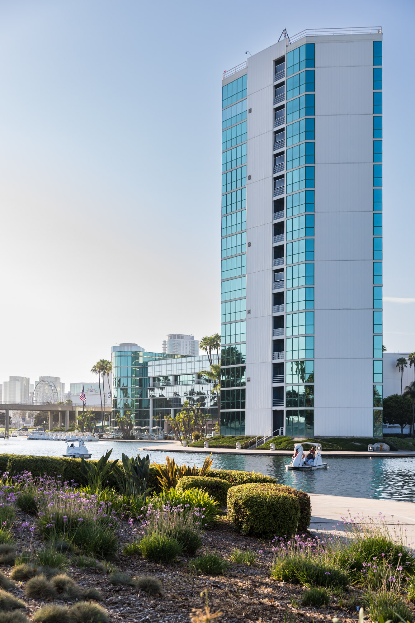 Swan boats in Rainbow Lagoon Park in front of glass highrise building with garden in front for an article on where to propose in Long Beach