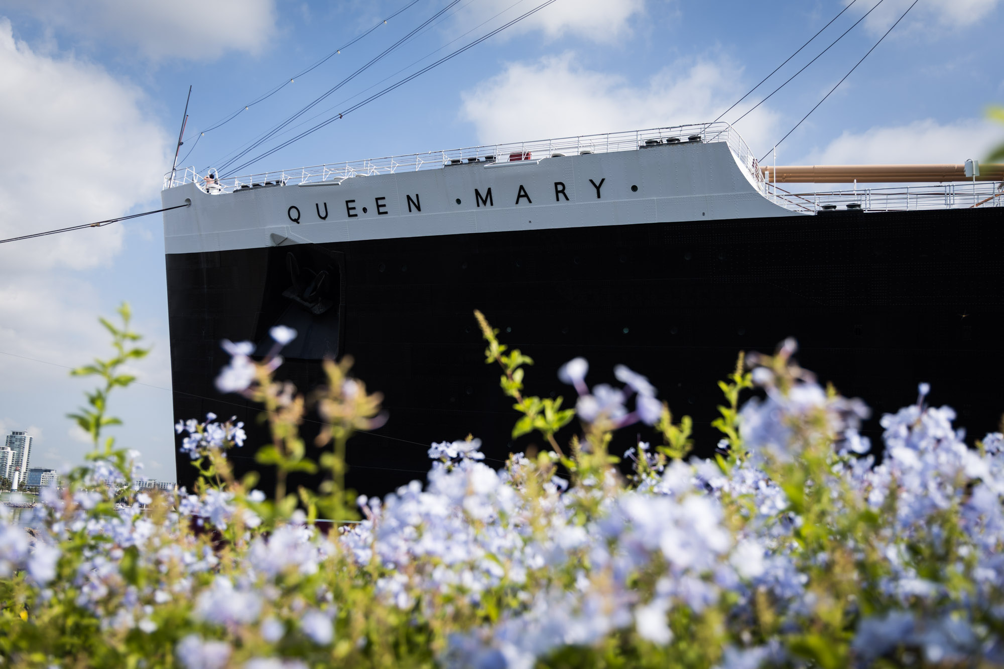 Long Beach photographer's view of the words "Queen Mary" on the black and white hull seen through pale blue flowers