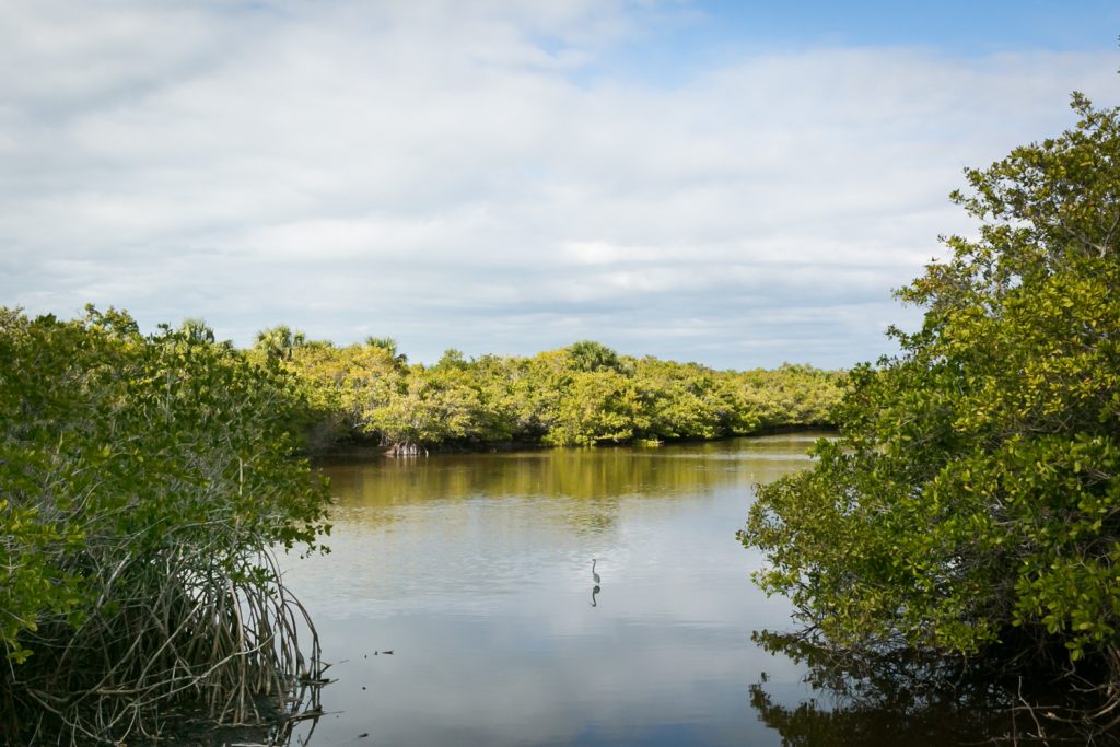 Caladesi & Honeymoon Island Photos | Florida Landscape Photos