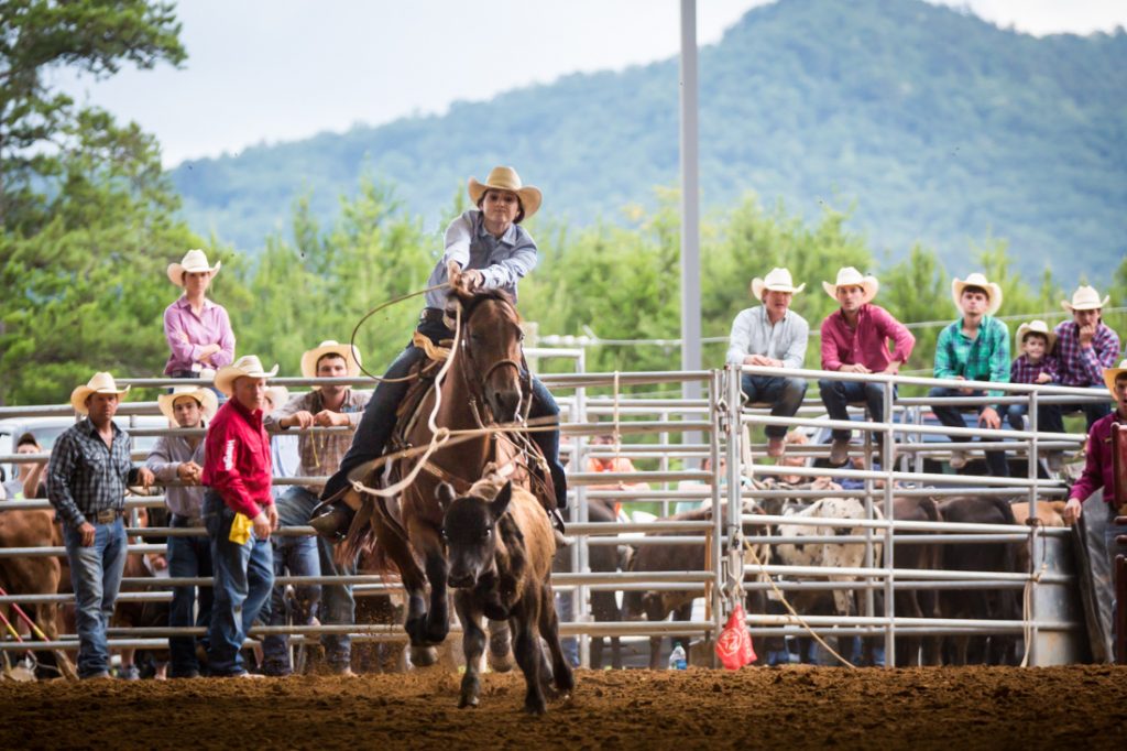 Bar W Rodeo in Clayton, GA Kelly Williams, Photographer