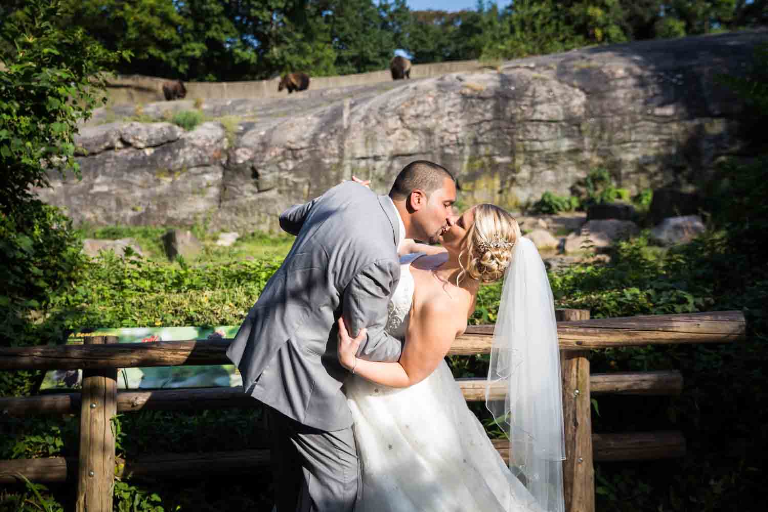 A Bronx Zoo Wedding Kelly Williams, Photographer